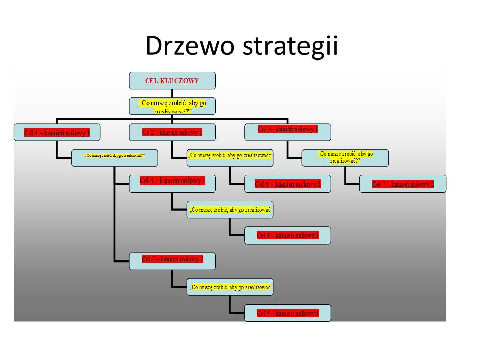 drzewo strategii1
